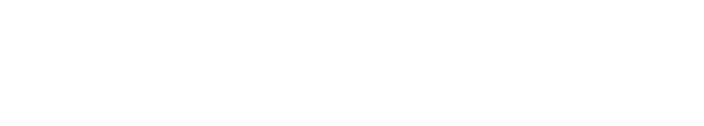 LanPoE Logo White